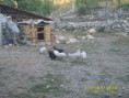 /album/resim-galerisi/s8302795-jpg/